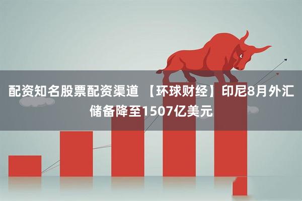 配资知名股票配资渠道 【环球财经】印尼8月外汇储备降至1507亿美元