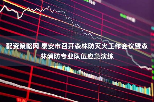 配资策略网 泰安市召开森林防灭火工作会议暨森林消防专业队伍应急演练